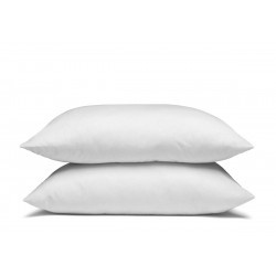 Lot de 2 Oreillers super gonflant coton bio 65x65 cm - Medium