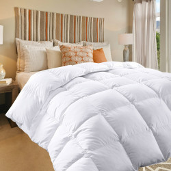 Couette Naturelle en Plume 200x200