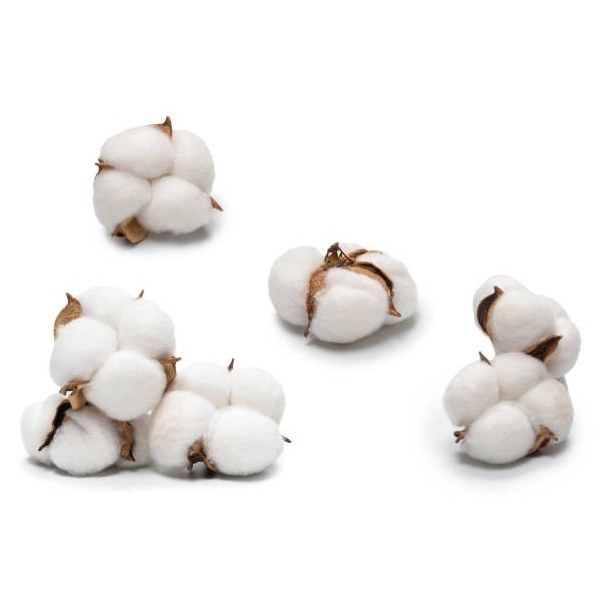 Housse de couette OPALE avec taies 100% coton 57 fils/cm² différentes dimensions