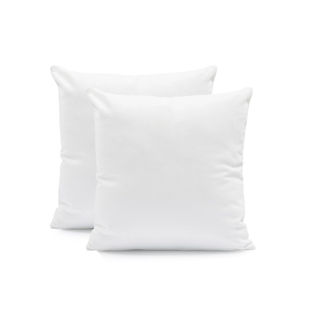 Lot de 2 oreillers anti-acariens 60x60 cm - Fabrication française, Hygiène active Aegis triple protection, garnissage polyester