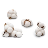 Taie de Traversin 43x185 cm – 100% Coton 57 fils/ cm² Doux et Résistant – Fabrication Française, Confort, Hygiène