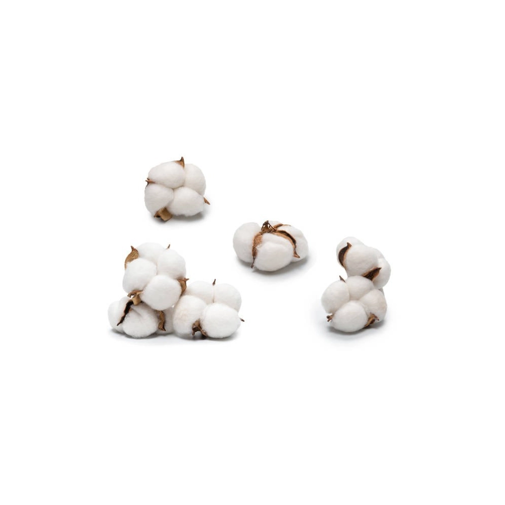 Taie de Traversin 43x185 cm – 100% Coton 57 fils/ cm² Doux et Résistant – Fabrication Française, Confort, Hygiène