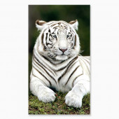 Serviette de plage Tigre Blanc 90x170