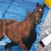 Zoom sur serviette Cheval 90x170cm