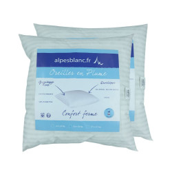 Lot de deux oreillers carrées Alpes Blanc