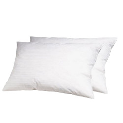 lot de deux oreillers rectangles Alpes Blanc