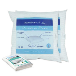 Pack 4 pièces avec 2 oreiller plume + 2 sous-taies coton