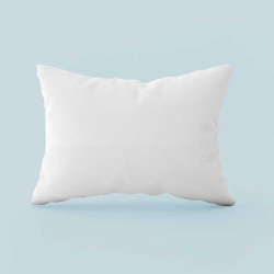 Oreiller Naturel 20% Duvet 50x70 cm