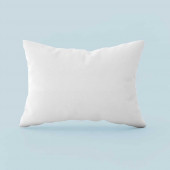 Oreiller Naturel 20% Duvet 50x70 cm