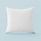 Oreiller Naturel 20% Duvet 65 x65 cm