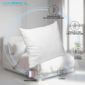 caractéristiques Oreiller Naturel 20% Duvet