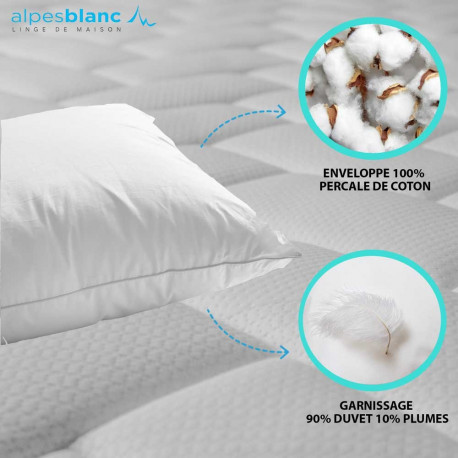 DROUAULT | Oreiller Ferme 65x65 | 40% Duvet De Canard Blanc | Alaska | Maintien Optimal Pour Sommeil Sur Le Dos | Anti-Acariens Naturel | Coton Sergé | Fabriqué En France