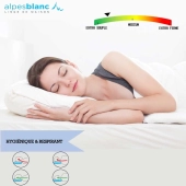 Oreiller naturel 90 % duvet - Fabrication Française haut de gamme - Ultra-léger et moelleux, confort 5 étoiles, anti-acariens