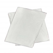 lot 2 sous-taies imperméables 60x60 cm