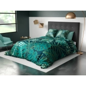 Housse de couette 240x260 cm - Alba Verte + taies pur coton
