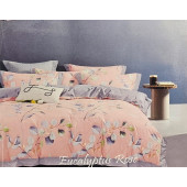 Parure de Draps 160 cm 4 pièces 100% Coton Eucalyptus Rose