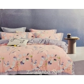 Parure de Draps 160 cm 4 pièces 100% Coton Eucalyptus Rose