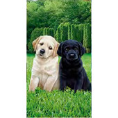 Serviette de plage microfibre chiots 70x140