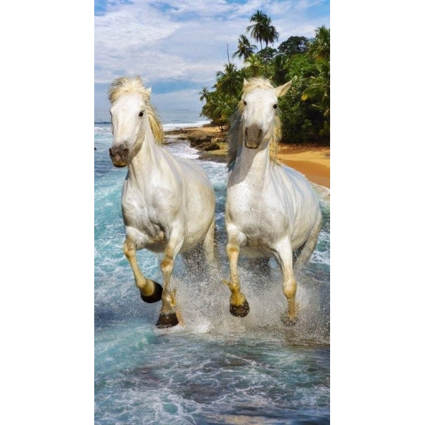 Serviette de plage microfibre chevaux sur la plage 70x140