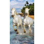 Serviette de plage microfibre chevaux blancs cm