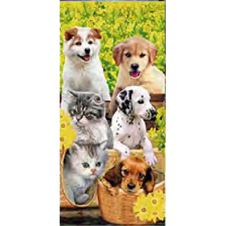 Serviette de plage microfibre chiens et chats 70x140