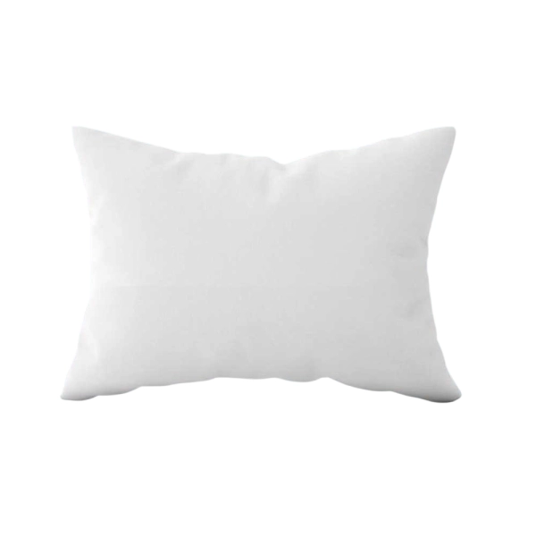 Oreiller Naturel 20% Duvet 50x70 cm