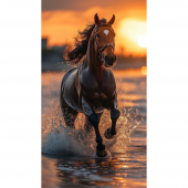 Serviette De Bain Brodée D'un Cheval Personnalisée Par Un Prénom