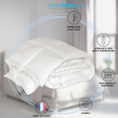 Infographie Couette 90% duvet 300g 260x240
