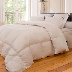 Couette 90% duvet 300g 140x200