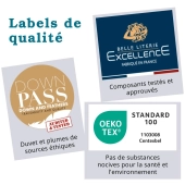 Oreiller naturel 20 % duvet / 80 % plumettes - Fabrication française, soutien mi-ferme, accueil moelleux, gonflant et léger