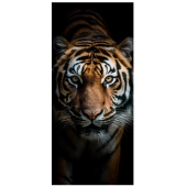 Serviette de plage Tigre sur fond noir 100x180 cm, grand format, 100% coton - Drap de Bain léger, absorbant et doux