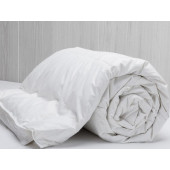 Couette Naturelle en Plume 200x200