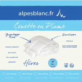 Couette Naturelle en Plume 200x200