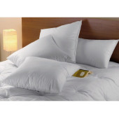 Oreiller Anti Acarien