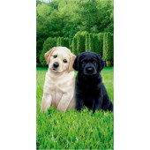 Serviette de plage Enfant