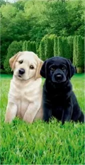 Serviette de plage Enfant