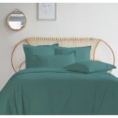 Housses de couettes 280X240 + 2 taies percale 80 Fils celadon