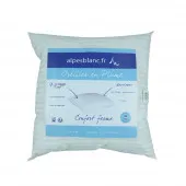 Oreiller en Plumes 65 x 65 de la marque Alpes blanc
