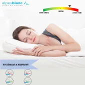 indice de fermeté oreiller en plume rectangle