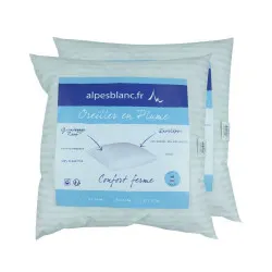 Lot de deux oreillers carrées Alpes Blanc
