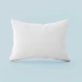 Oreiller Naturel 20% Duvet 50x70 cm