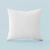 Oreiller Naturel 20% Duvet 65 x65 cm