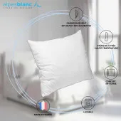 caractéristiques Oreiller Naturel 20% Duvet