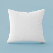 Oreiller Naturel Souple 50% Duvet 65x65 cm