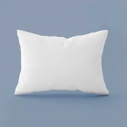 Oreiller Naturel 90% Duvet 50X70 CM