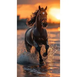 Serviette de plage Cheval Sunset fond blanc 100% coton 100x180 cm