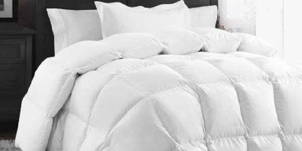 Collection couettes naturelles